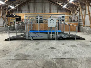 Skridtbånd Horse-Gym