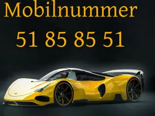 Guldnummer 51 85 85 51