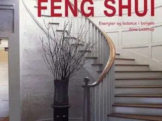 Indret med Feng Shui - Gina Lazenby