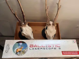 Ballistic laserscop 5