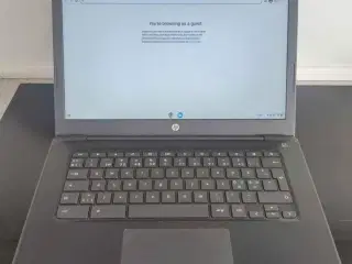 HP CROMEBOOK 14"