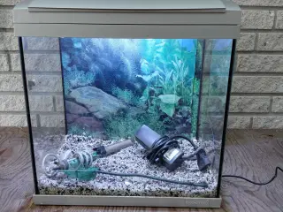 Akvarier 25L 