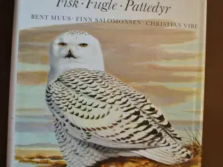 grønlands fauna - fisk fugle pattedyr, af bent muu