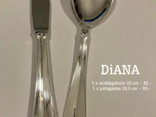 Diana pletsølvtøj 