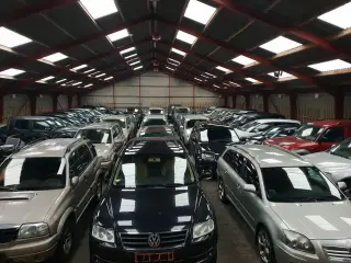 Skoda Octavia købes til Export