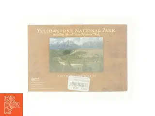 Yellowstone National Park including grand teto National Park (bog)