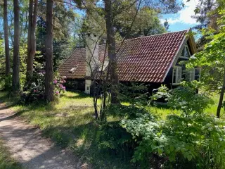 Charmerende træhus for 4-6 personer på naturgrund i Asserbo, Nordsjælland<br>Tæt på skov og strand