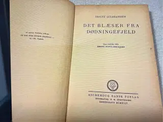 Gammel antikvarisk bog roman skrevet af den norske