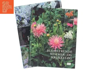 2 havebøger: Blomstrende sommer og krukkeløg og Politikens bog om havens krukker af Karina Demuth (Bog)