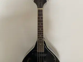 Mandolin 