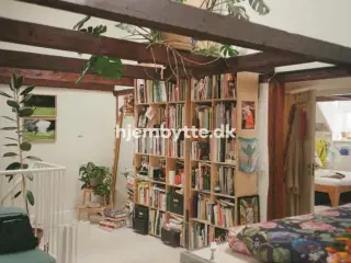 Hjembytte - NørreAllé