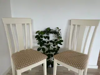 Unikt sæt med 6 stole