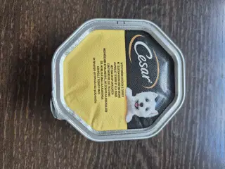 Hundemad