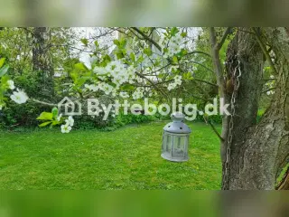 Villa (lejebolig) i Birkerød til bytte i København