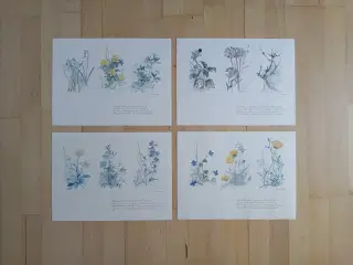 Mads Stage Blomster motiver