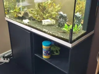 Juwel akvarie, med underskab, 160L