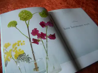 The Balance Plan, Angelique Panagos