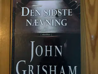 Den sidste nævning bog 