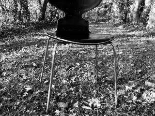 Myren stol model 3101 – Arne Jacobsen