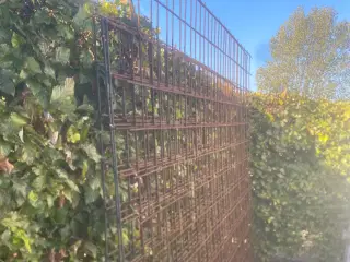 Rio net 6 mm 