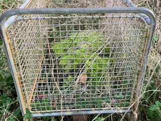 Høvogn og badekar bortgives