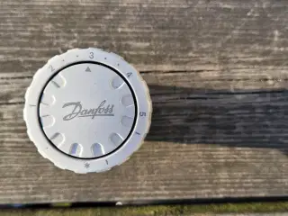 Radiator termostat Danfoss