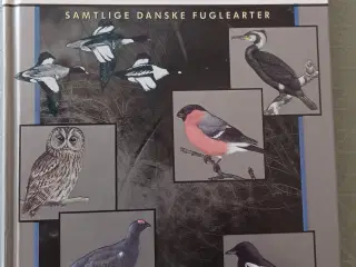 POLITIKENS STORE FUGLEBOG