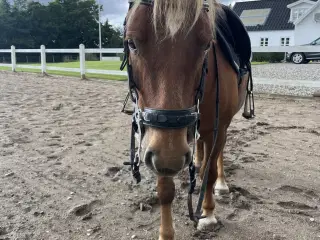 Hurtigt salg ønskes 