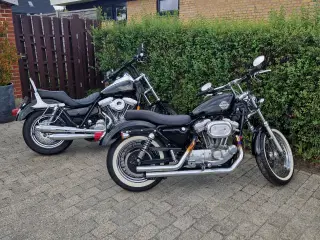 FXR og Sportster 