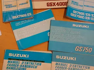 Div, Suzuki