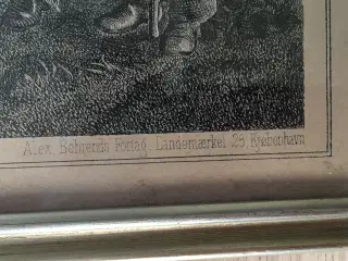 Gl. billede s/h ukendt motiv