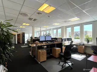 Fint kontorlejemål med egne faciliteter