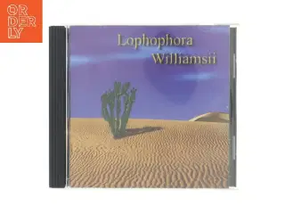 Lophophora - Williamsii
