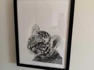 Plakater med rammer.