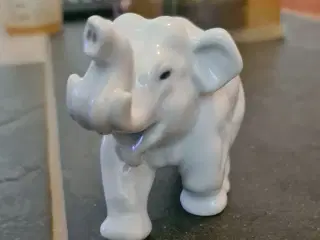 Baby elefant