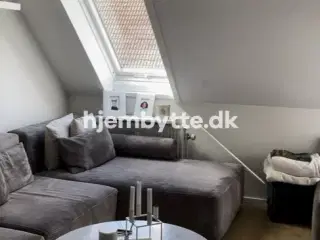 Hjembytte - Thorsgade