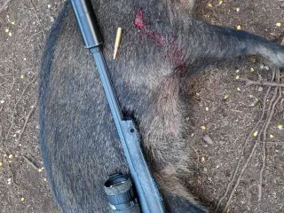Bergara quest carbon riffel 308win
