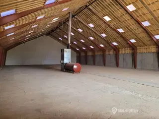 900 m2 koldhal til leje i Humlebæk