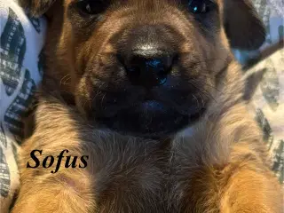 FamilyGuardianMix - Love bombs 🩶💣