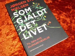 Som gjaldt det livet, Jørgen Steen Nielsen,