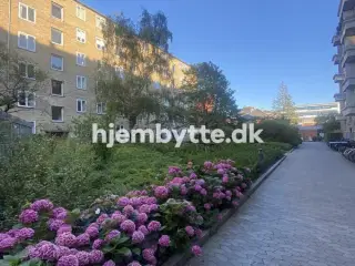 Hjembytte - JensMunksGade
