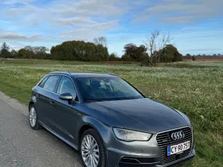 Velholdt Audi A3 etron