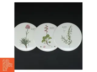 Dekorative porcelænstallerkener med botaniske motiver (str. 3 styk. ø. 15,5 cm)