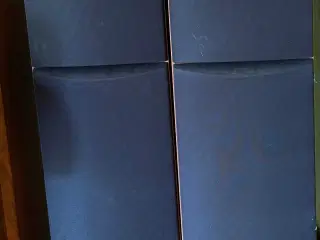 Dali AXS 8000 gulvhøjttalere
