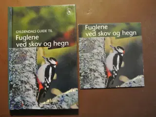fuglene ved skov og hegn. med cd, Af jens overgaar