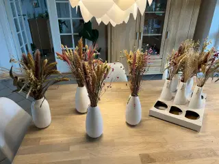 Tørret blomster buket i vase