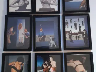 Tintin billeder 15 x20 cm