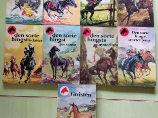 9 stk. Den sorte hingst