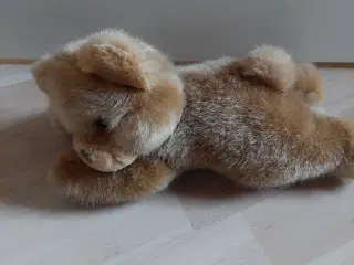 Sød sove/lege hund 