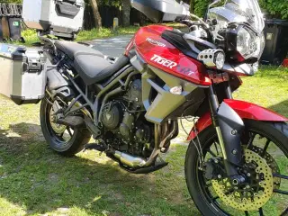 Triumph tiger 800
